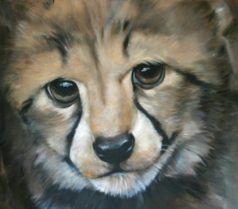 Individuelle Tierportraits