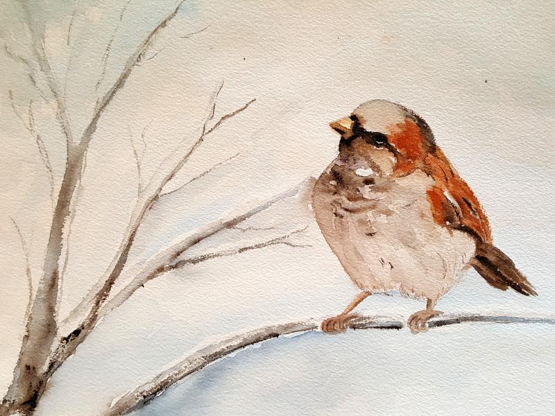 Winterliche Arrangements in Aquarell