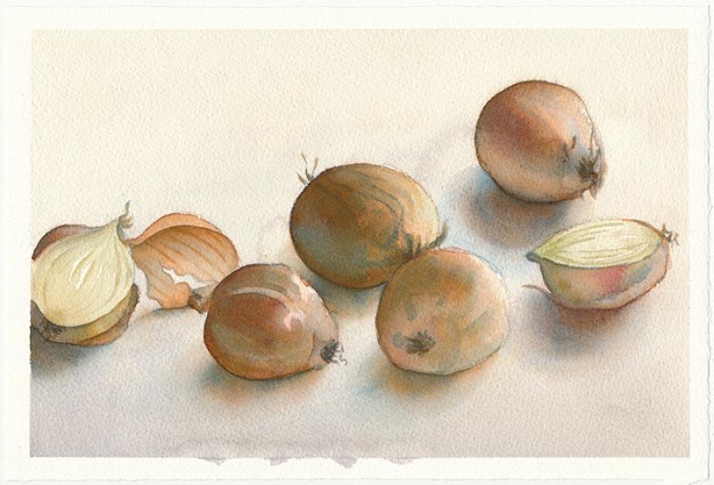 Aquarell für Anfänger - die Lasurtechnik