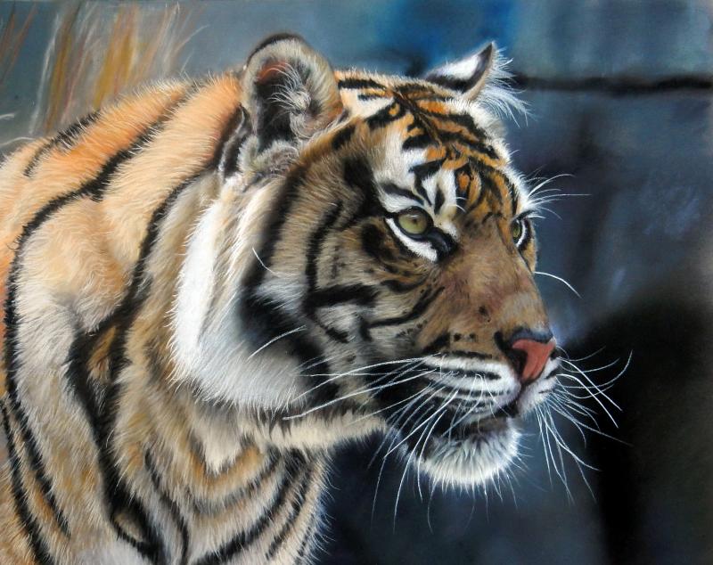Tierportrait - Faszination der realistischen Malerei mit Pastellen
