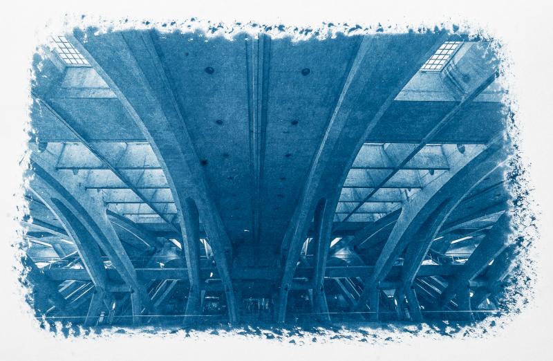 Cyanotypie Digital – Die Kunst der blauen Bilder