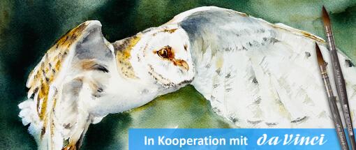 After Work: Das Weiß im (Tier-) Aquarell – Die Schleiereule
