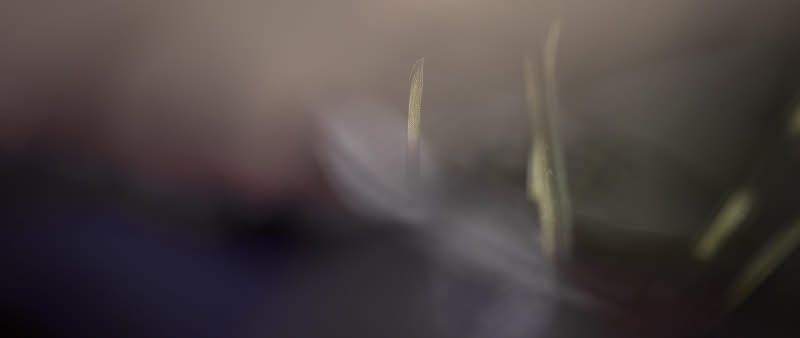 After Work-Kursreihe: Geheimnis-Fotografie